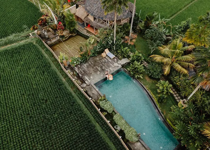 Padi Bali Retreat