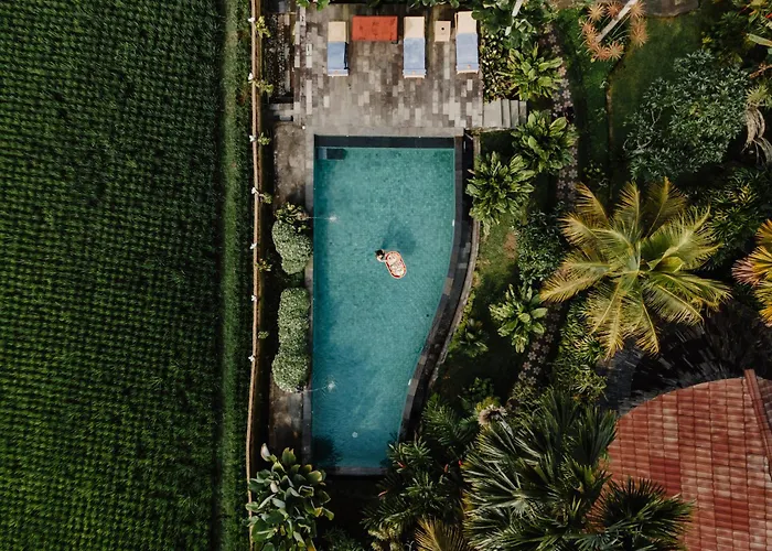 Padi Bali Retreat