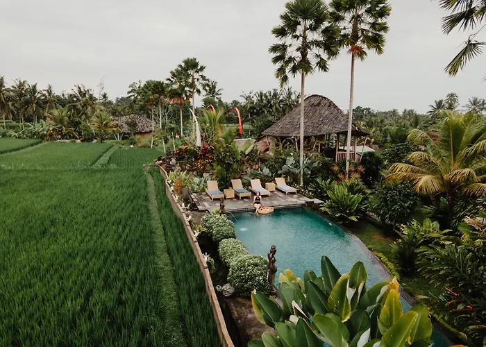 Padi Bali Retreat