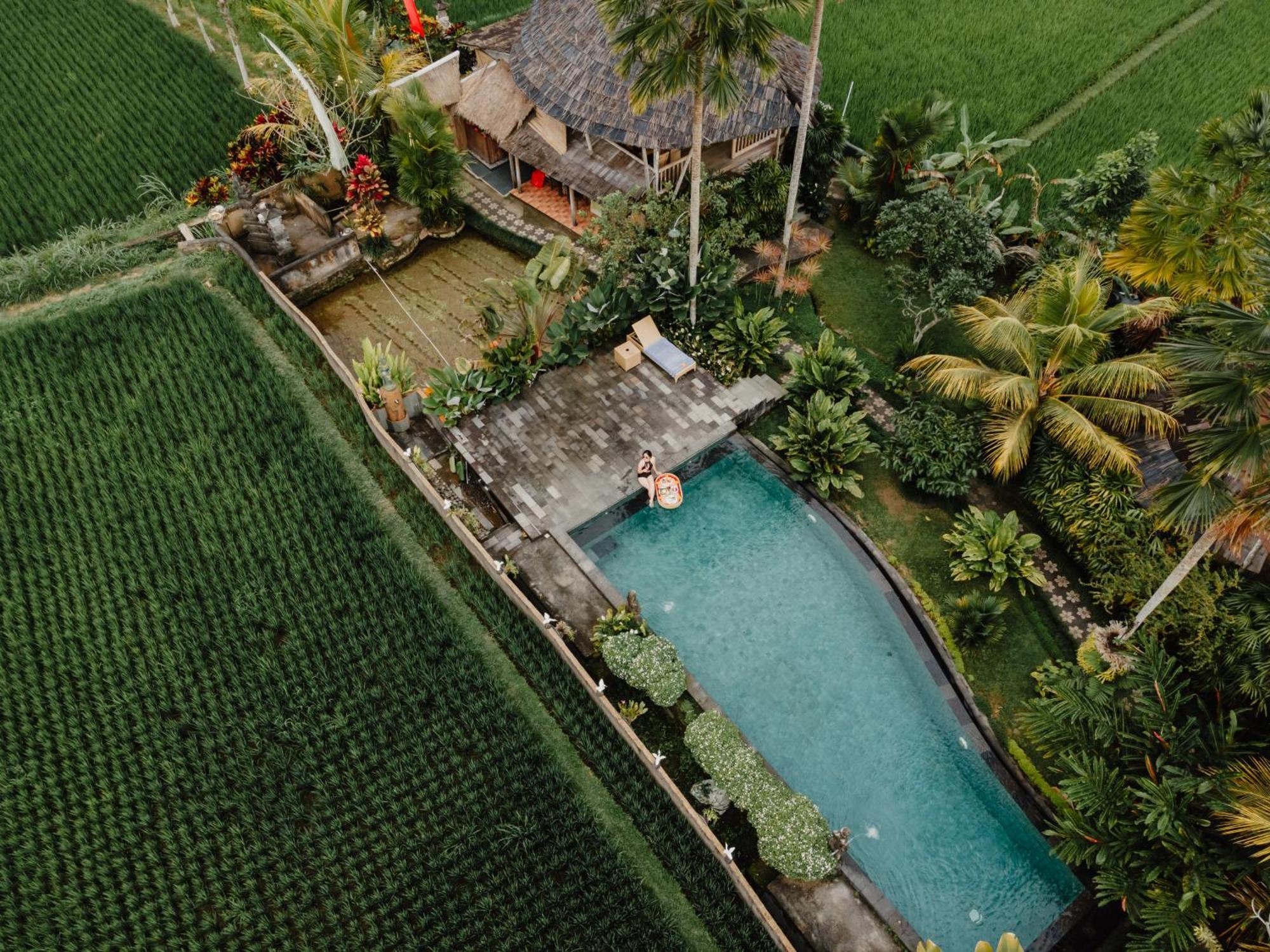 Padi Bali Retreat Resort Payangan