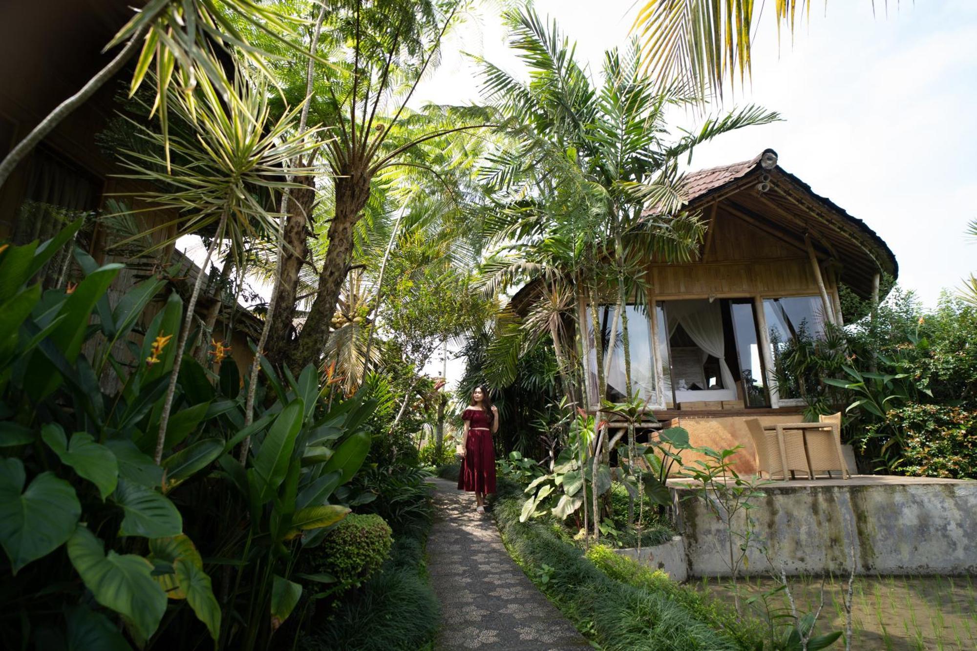 Padi Bali Retreat Resort 3*