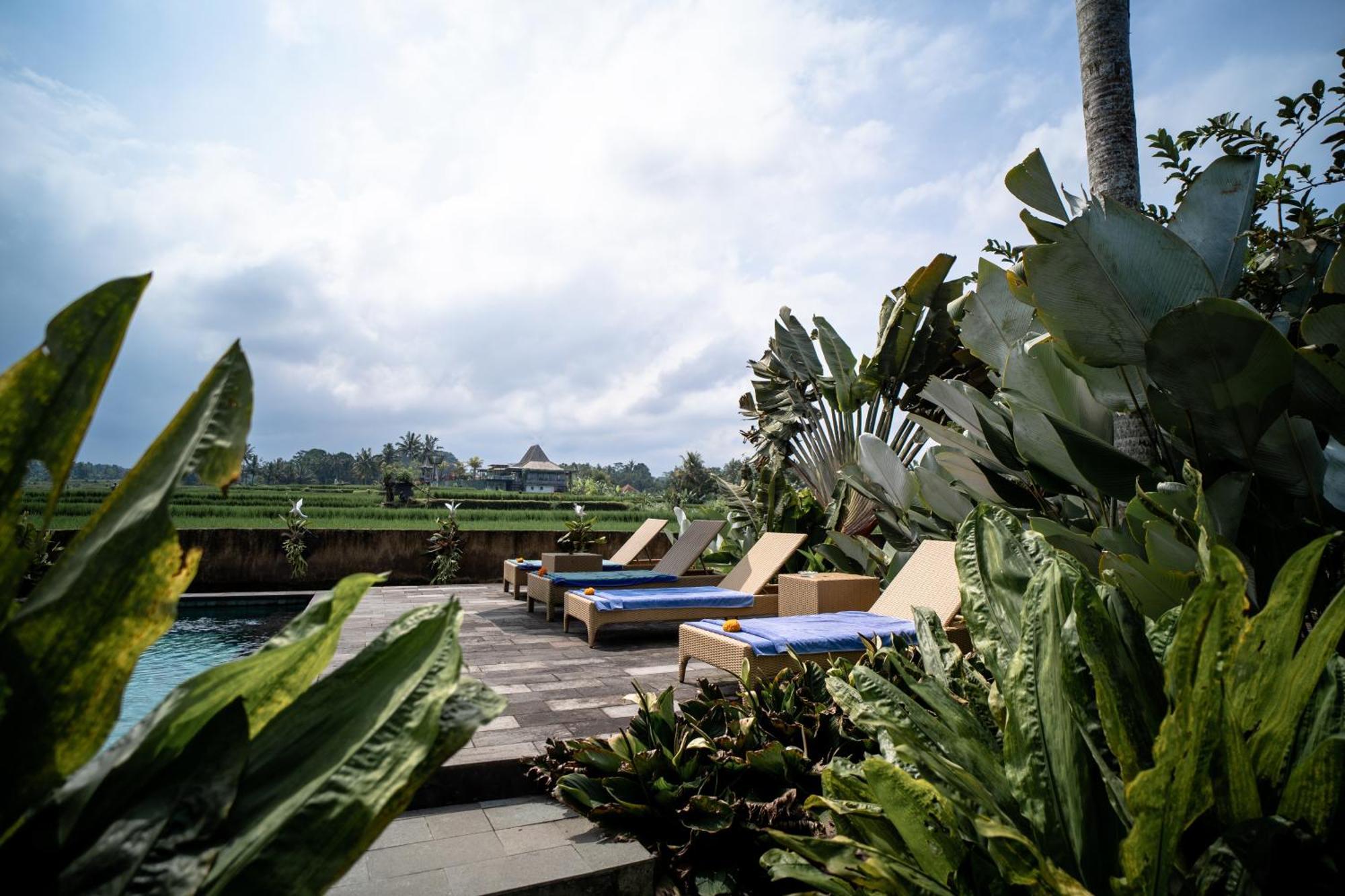 Padi Bali Retreat 3* Payangan