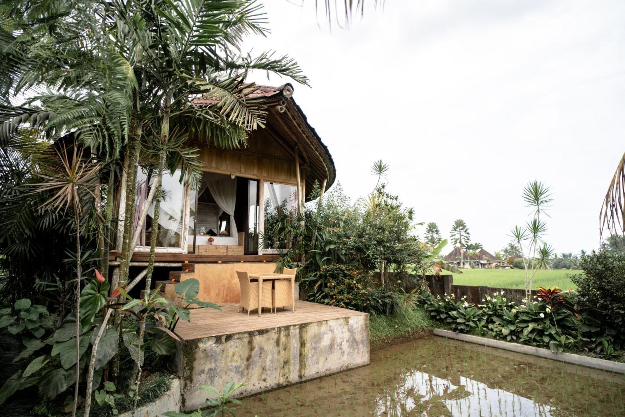 Padi Bali Retreat