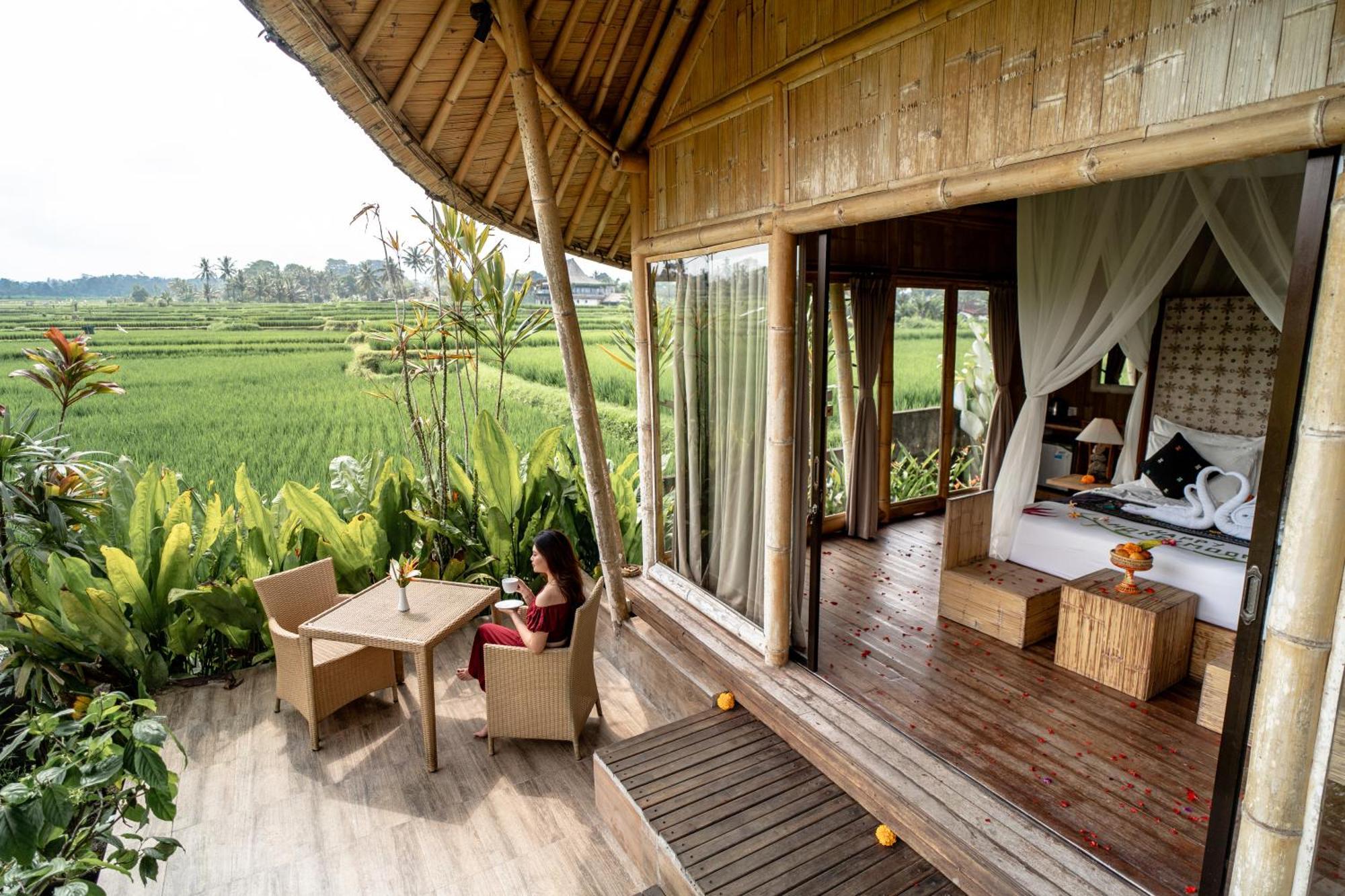 Padi Bali Retreat