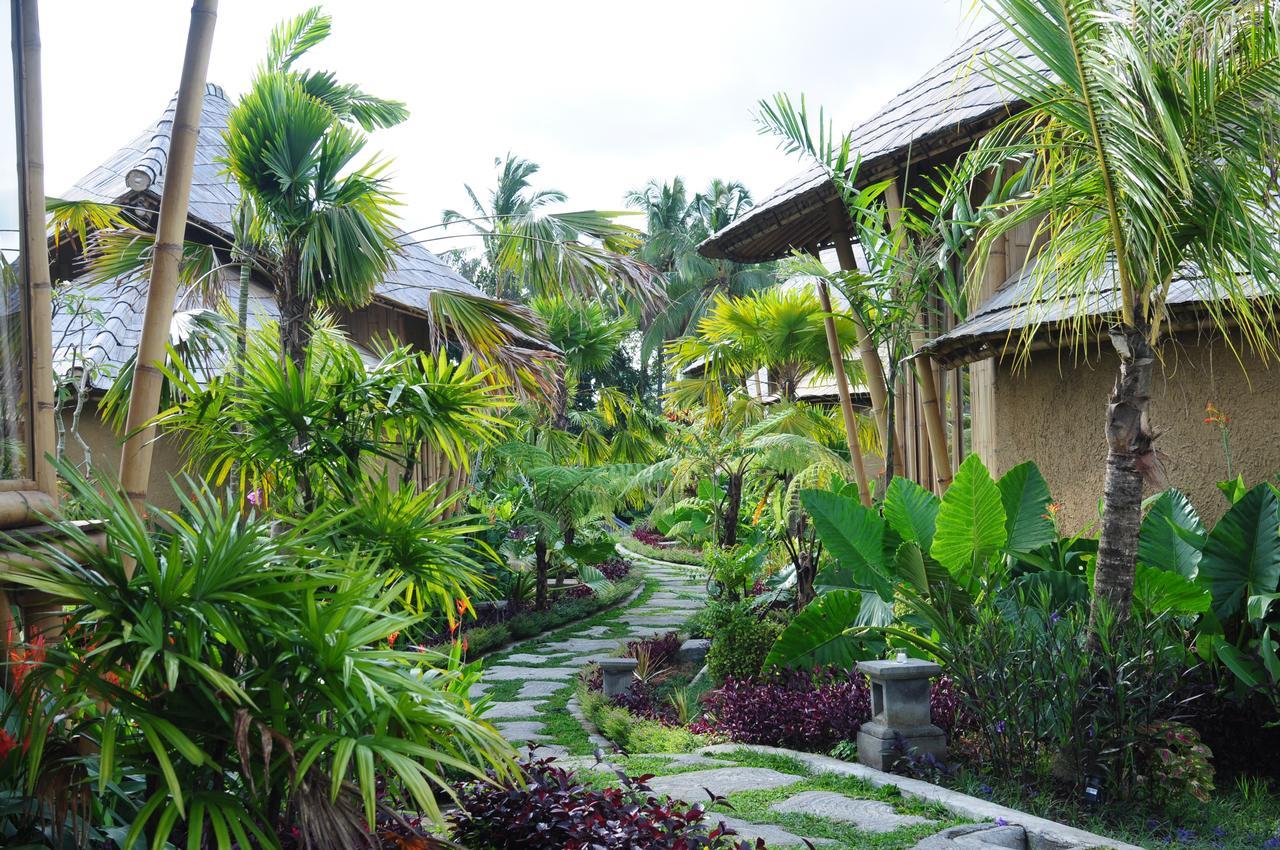 Padi Bali Retreat 3* Payangan