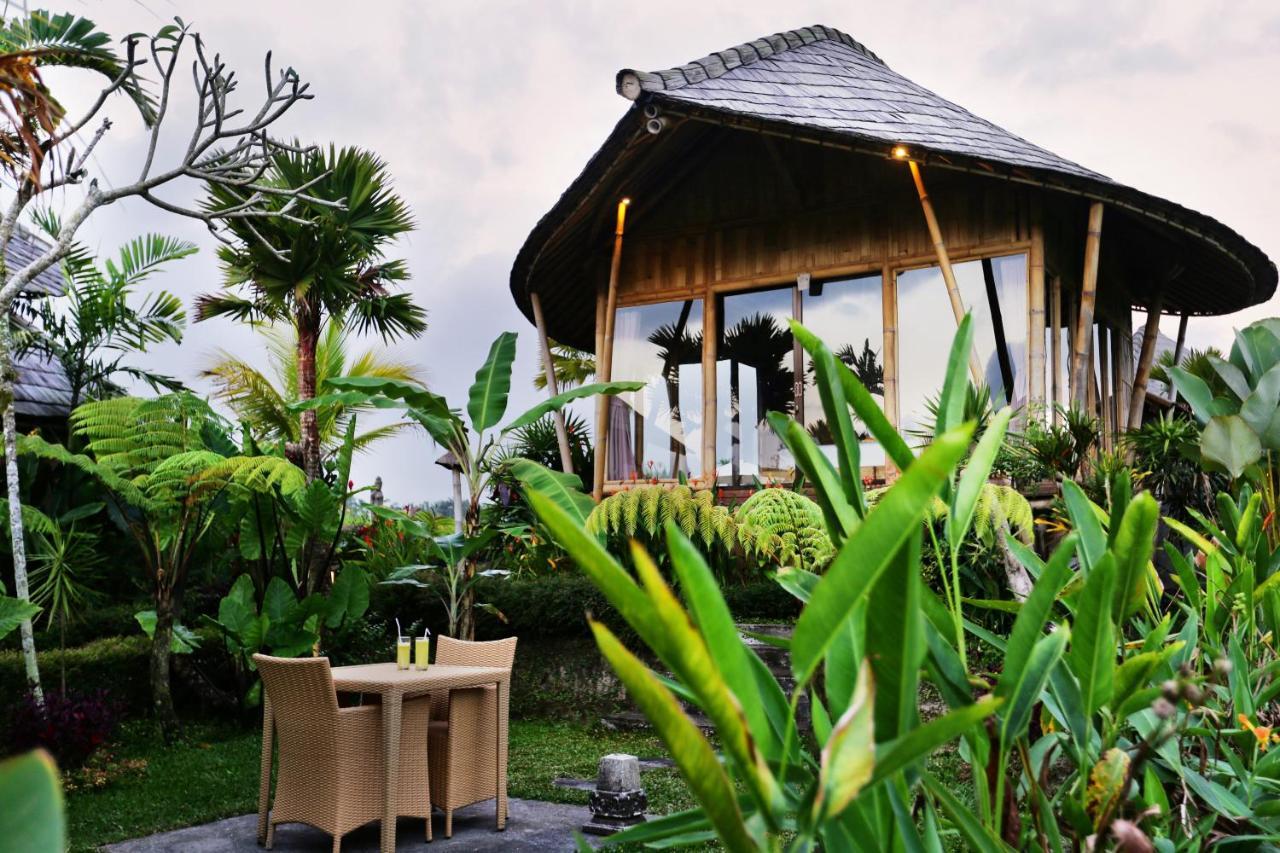 Padi Bali Retreat Station touristique Payangan